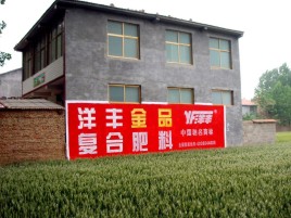 上饶如何让墙体广告展现最大化效果