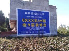 上饶品牌公司青睐的墙体广告
