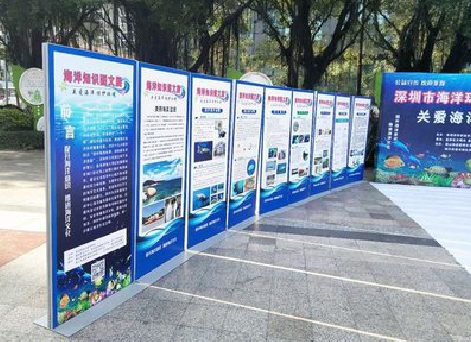 上饶KT板的种类和知识。